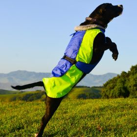 Alpine All-Weather Dog Coat (Color: Blue and Green, Size: 5X-Large)