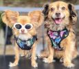 Wrap and Snap Choke Free Dog Harness by Doggie Design