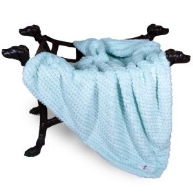 Paris Dog Blankets (Color: Ice, Size: LG)